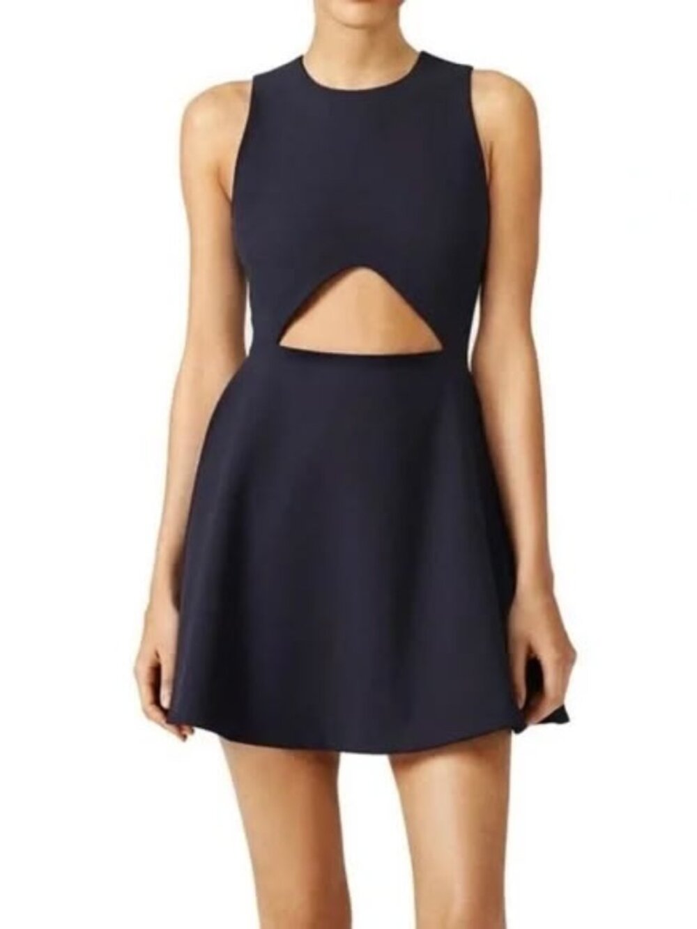 Elizabeth and James Abella Fit Flare Mini Dress 2 XS